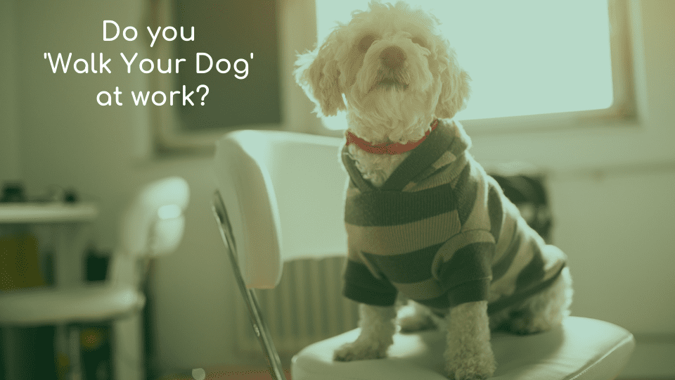 January is Walk Your Dog Month